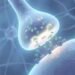 The Endocannabinoid System: Your Body’s Master Regulator Explained