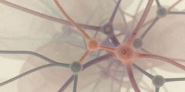 Abstract biological network illustration