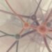 Abstract biological network illustration