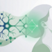 CBD for anxiety research — scientific evidence review 2026